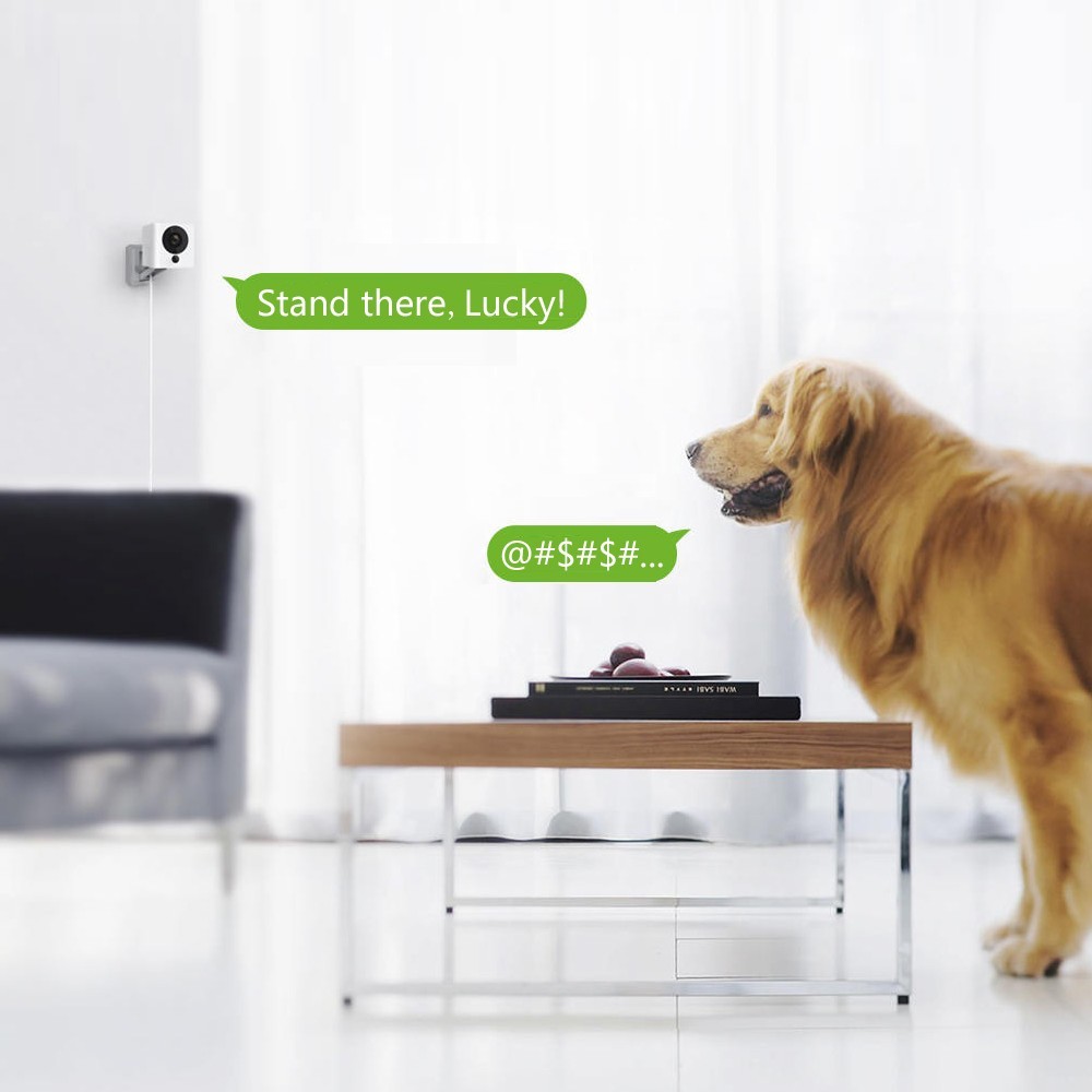 Original Xiaomi XiaoFang Intelligent Camera1S Smart IP Portable Security Home Camera Baby Monitor Mobile Power 1080P IR-CUT Night Vision Only for Android Mobile Phone