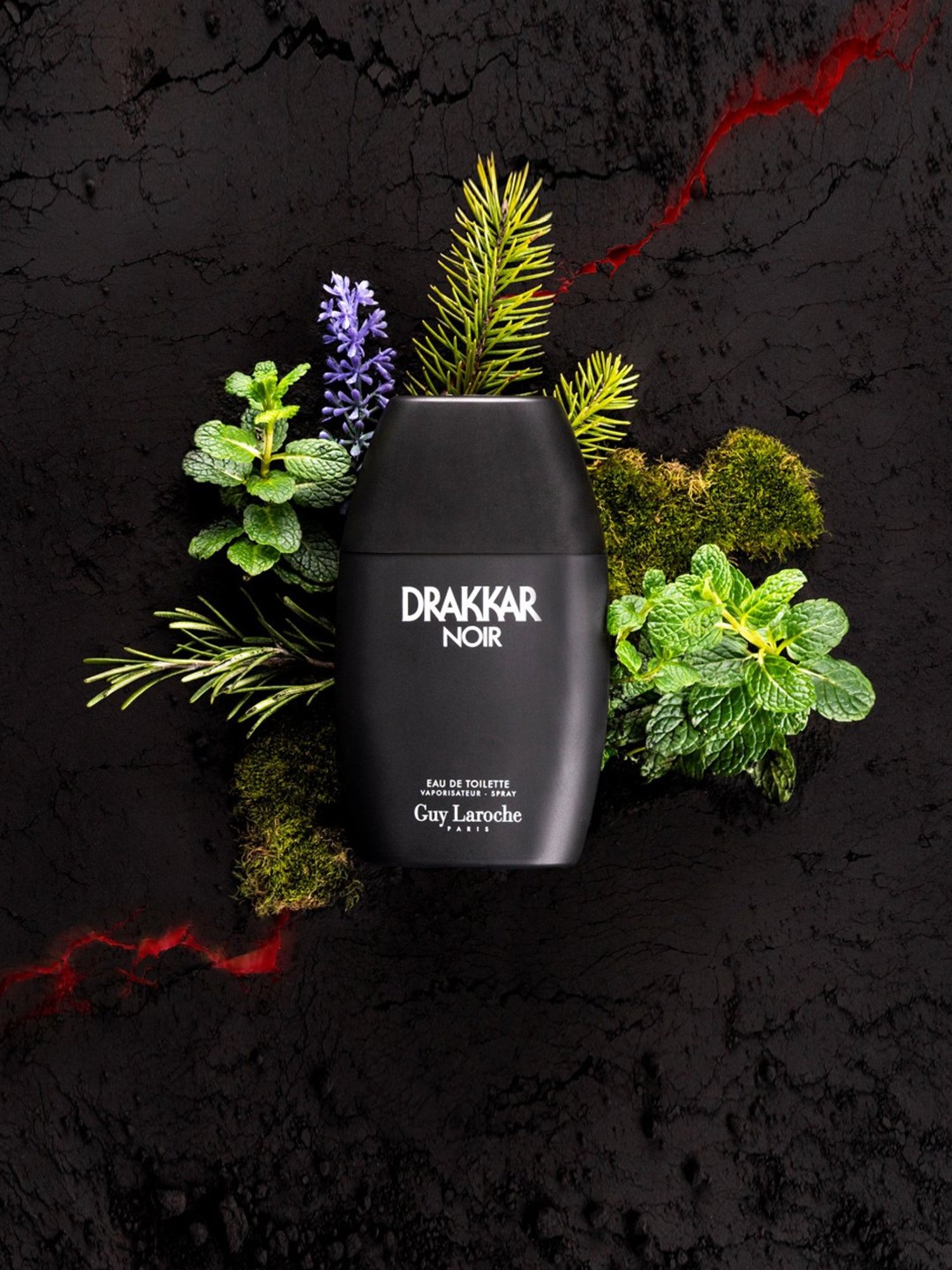 Guy Laroche Drakkar Noir Eau De Toilette for Men - 100 ml