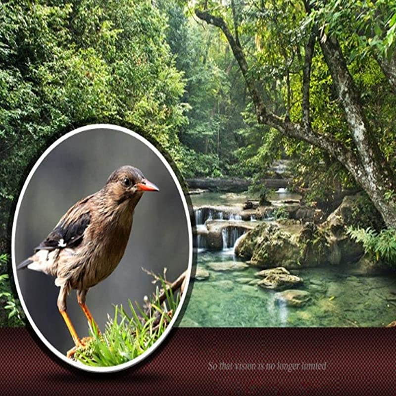 Telescope 80x100 High Definition Telescope Night Vision Waterproof Telescope Clear Telescopes with Compass Smartphone Holder Tripod for Bird Watching Hiking Camping Concerts