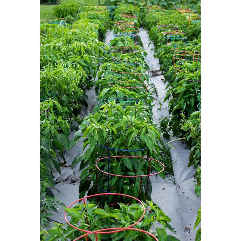 60" 5pk Gemz Heavy Duty Plant Support Ruby Red - Glamos