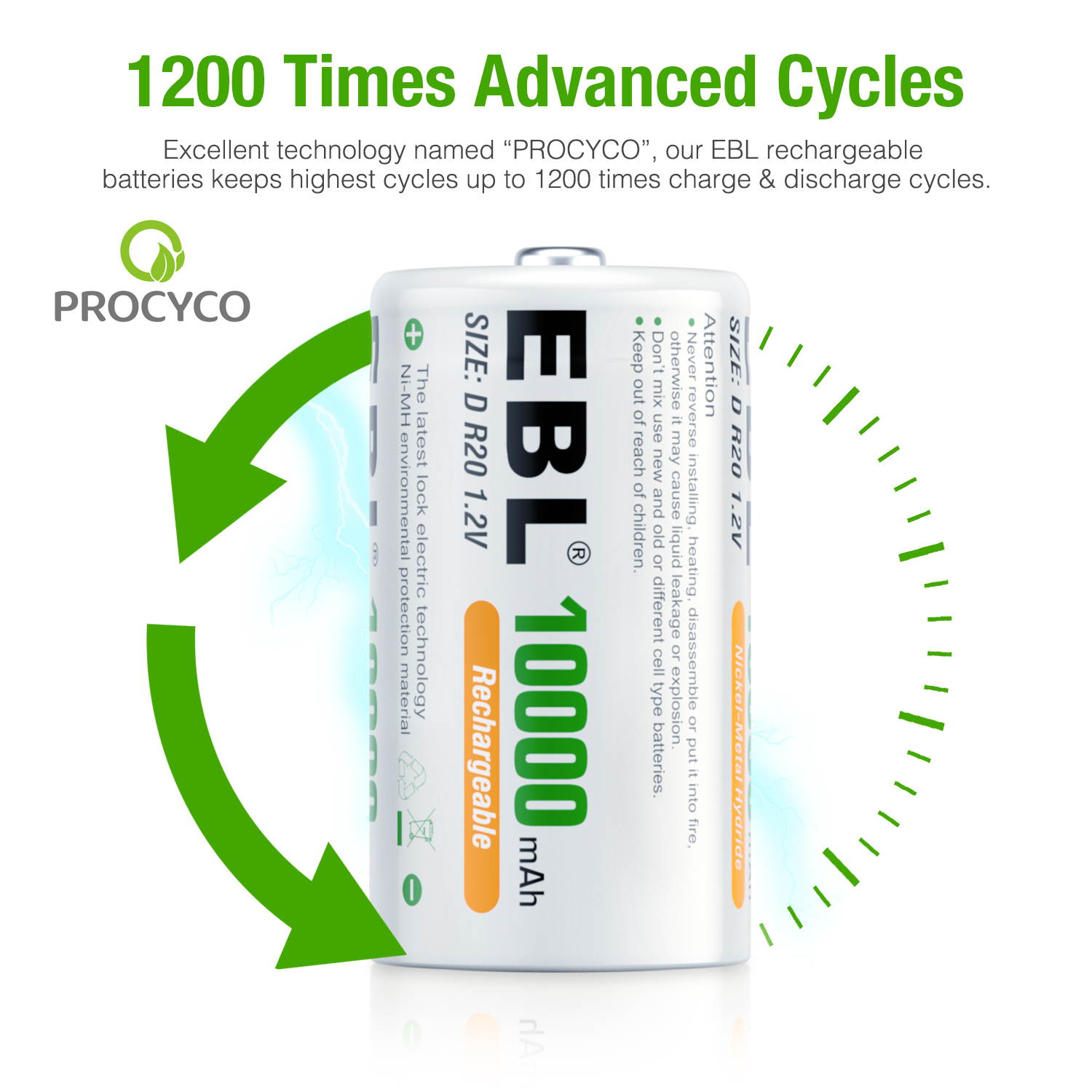 EBL 2Pcs D Cells 10000mAh Rechargeable Batteries with C D 9V AA AAA Battery Charger