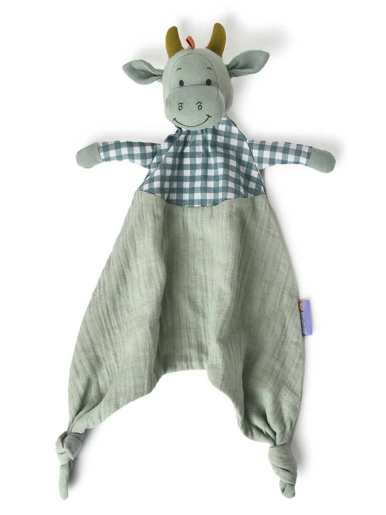 MiArcus Kids Green Playful Dino Set (Pack Of 2)