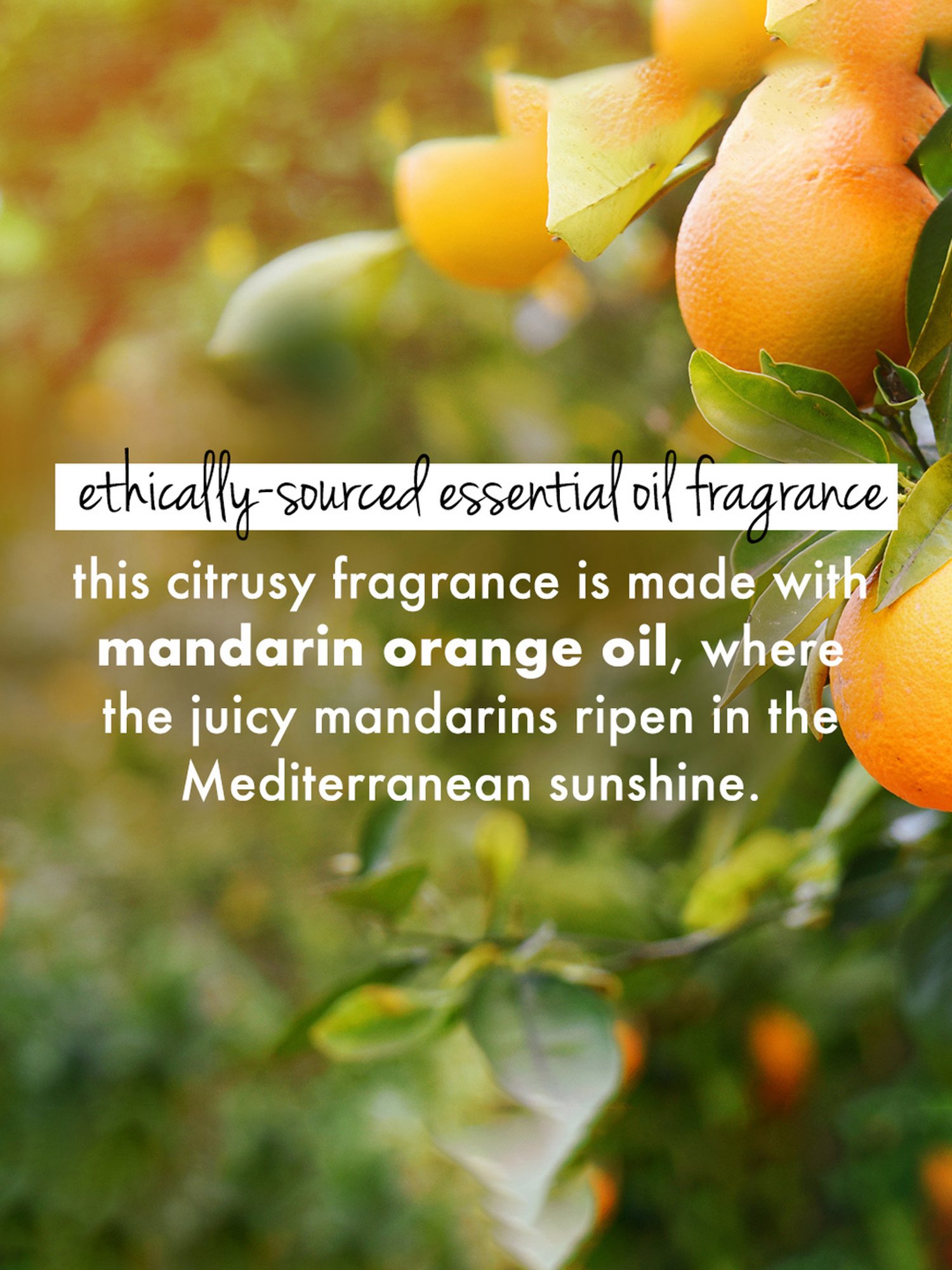 Love Beauty & Planet Curry Leaves, Biotin & Mandarin Orange Paraben Free Conditioner - 200 ml