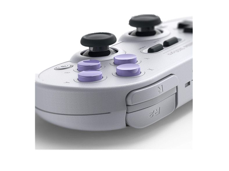 8Bitdo Lite Bluetooth Gamepad for Nintendo Switch Lite, Nintendo Switch & Windows (Turquoise Edition)