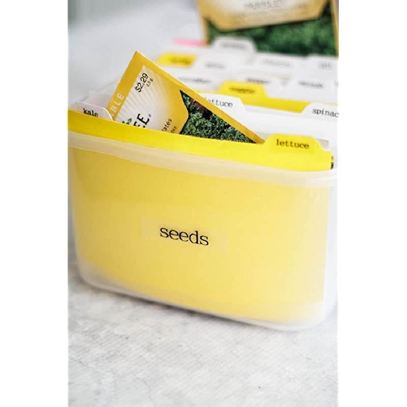 Compatible Label Tape Replacement for Brother Label Maker Tape TZe-251 TZe-151 TZe-451 TZe-651 24mm TZe Tape for P-Touch PT-D600 PT-P700 PTP750W PT2730 ( Clear, White, Yellow, Red, 4-Pack )