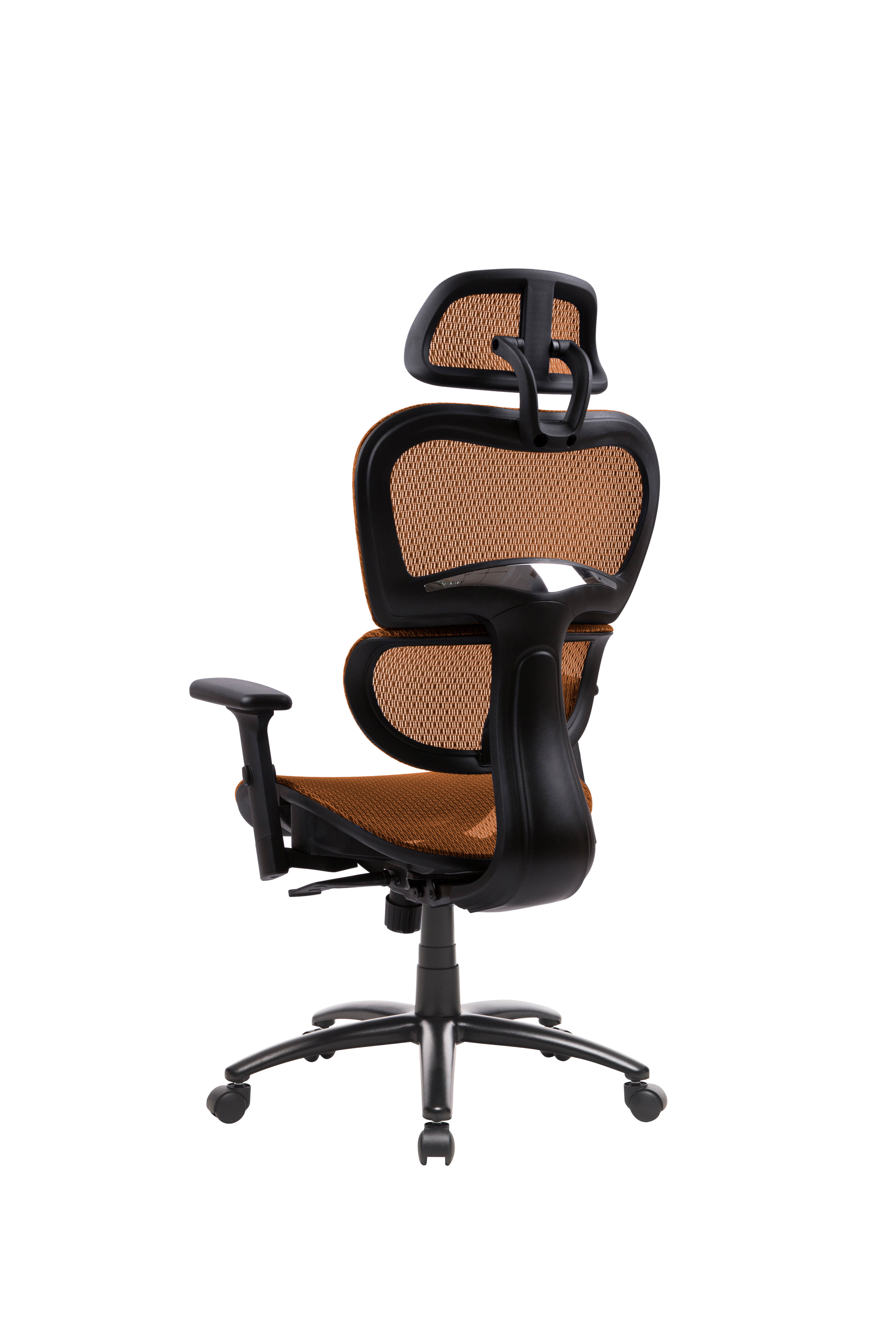 Ergonomic Office Chair Mesh Chair Computer Chair Desk Chair High Back Chair with Adjustable Headrest and Armrest