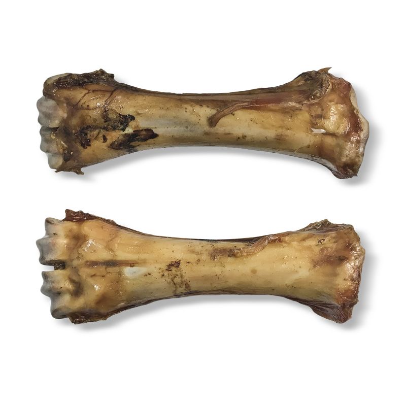 Baxter Boy 8" Shin Bone Beef Dog Treats - 3pk