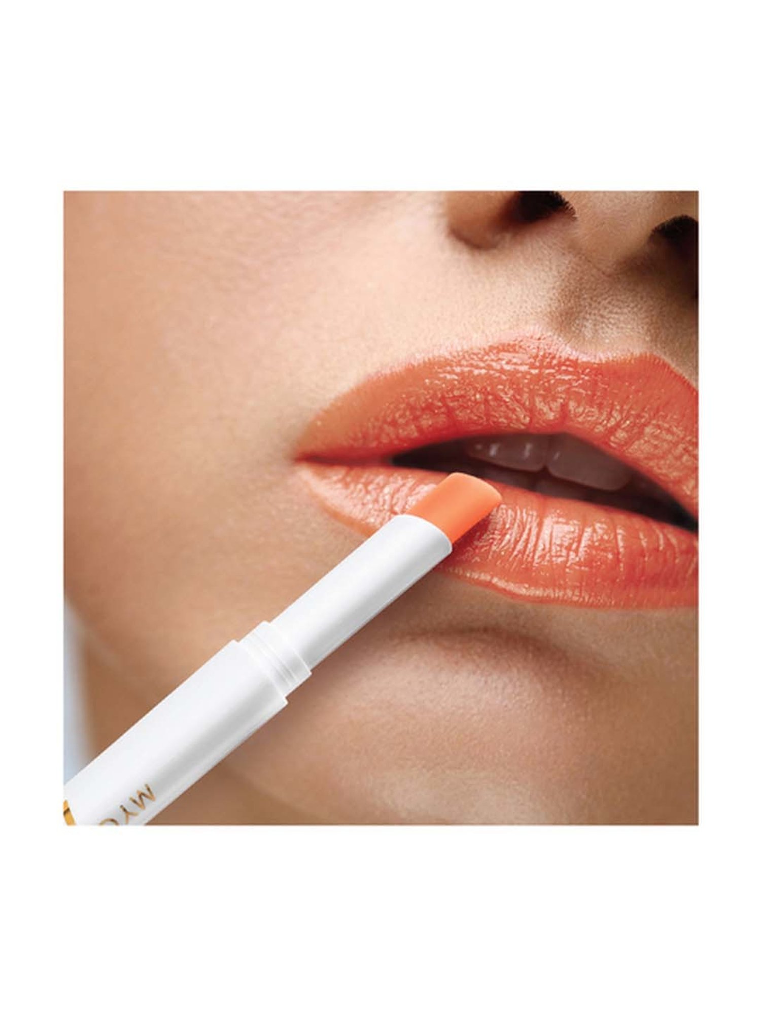 Earthraga Spiced Chai Organic Lip Balm - 4 gm