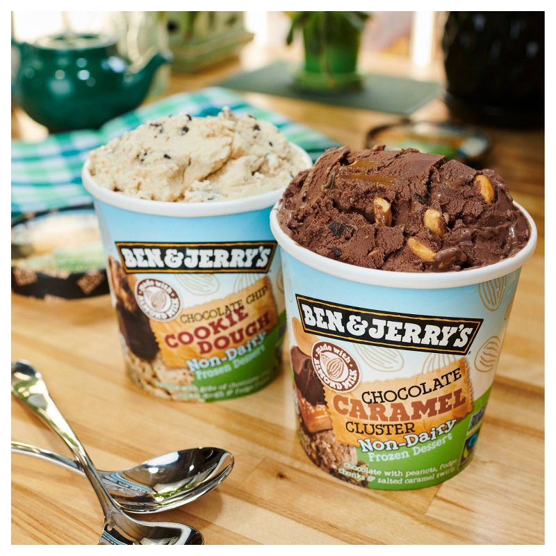 Ben & Jerry's Non-Dairy Ice Cream Chocolate Chip Cookie Dough Frozen Dessert - 16oz