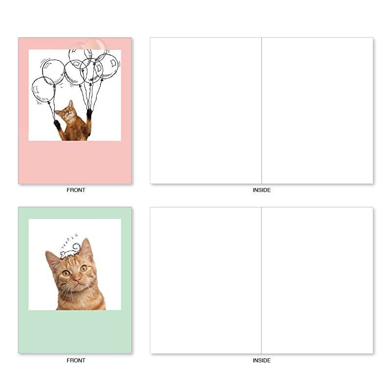 10 All Occasion Blank Cat Cards 4 x 512 Inch Cute Assorted Bulk Card Set Feline Graffiti M6583OCB