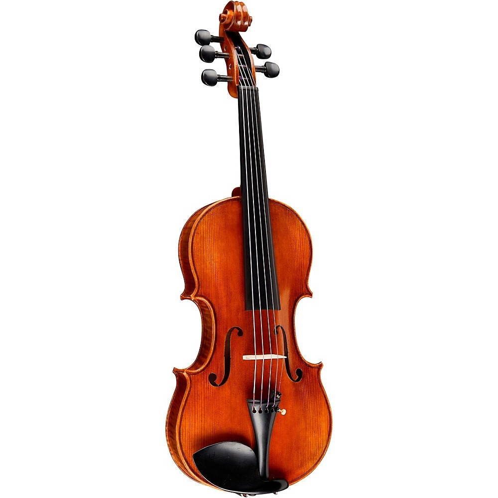 Bellafina Violina 5-string Violin Outfit 14 in.