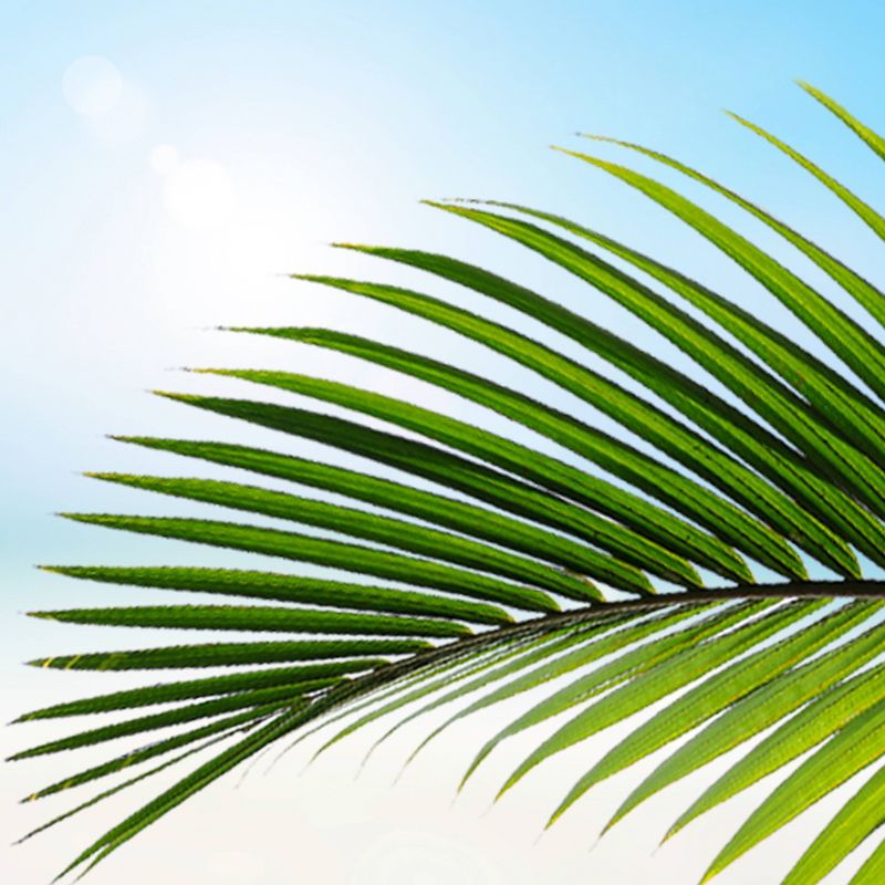 Suave Essentials Ocean Breeze Refreshing Body Wash Soap for All Skin Types - 32 fl oz