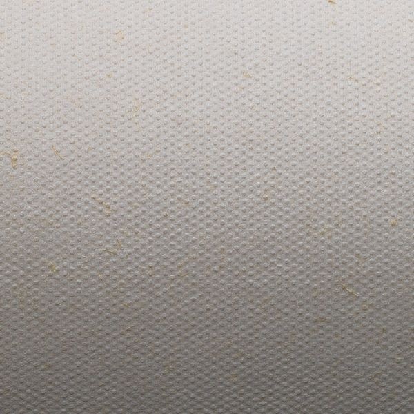 GEORGIA-PACIFIC 29602 Disposable Wipes Flax Fiber 10.6" x 6.7", White, 690