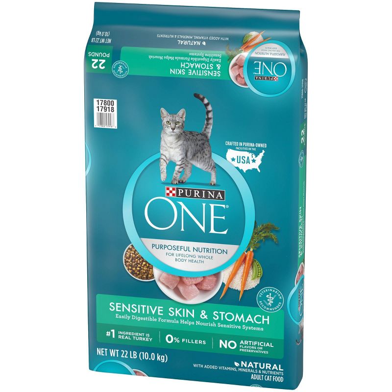 Purina ONE Sensitive Skin and Stomach Wet Cat Food - 22lbs