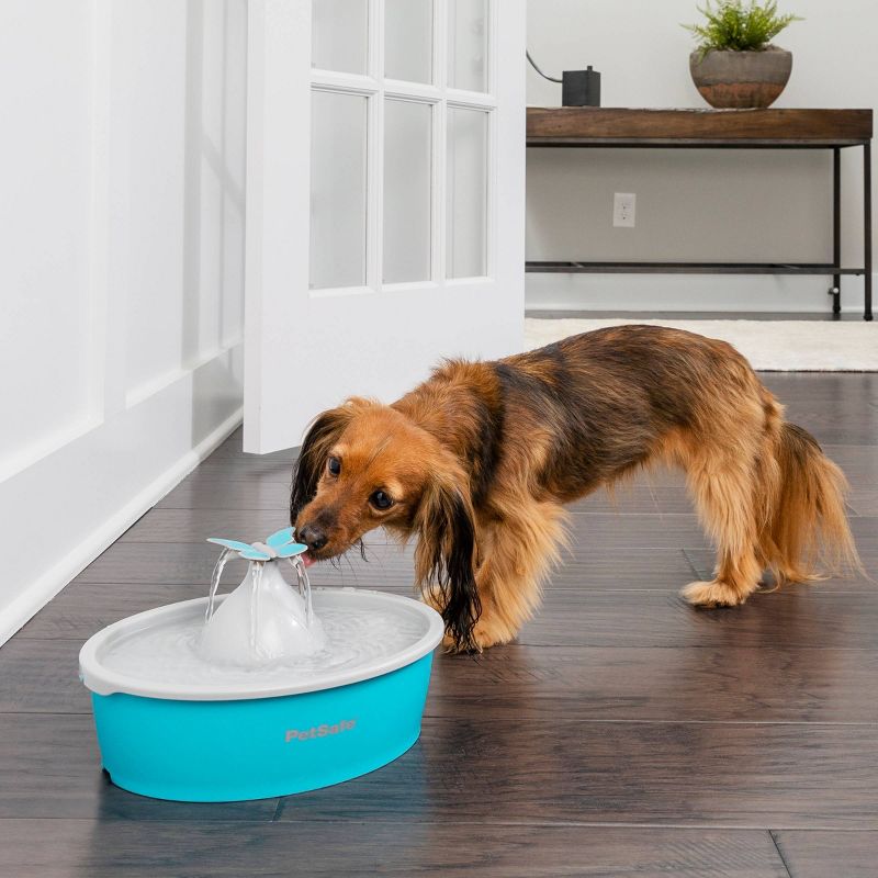 PetSafe Butterfly Fountain - White