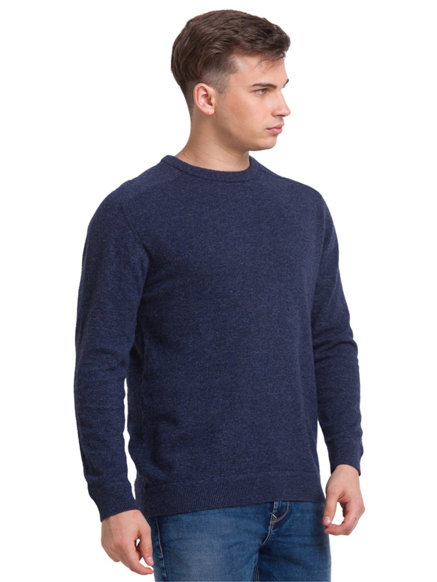 ColorPlus Blue Tailored Fit Sweater