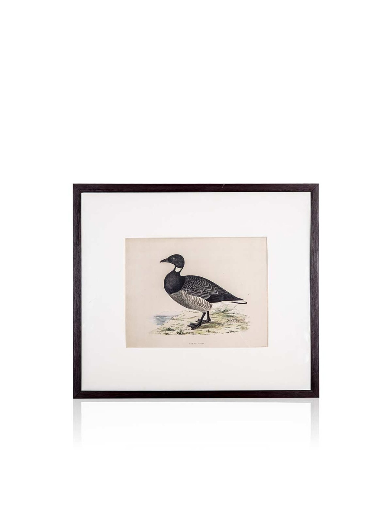 Home4U Cfo 140064 Multicolor Ceramic Wall Art