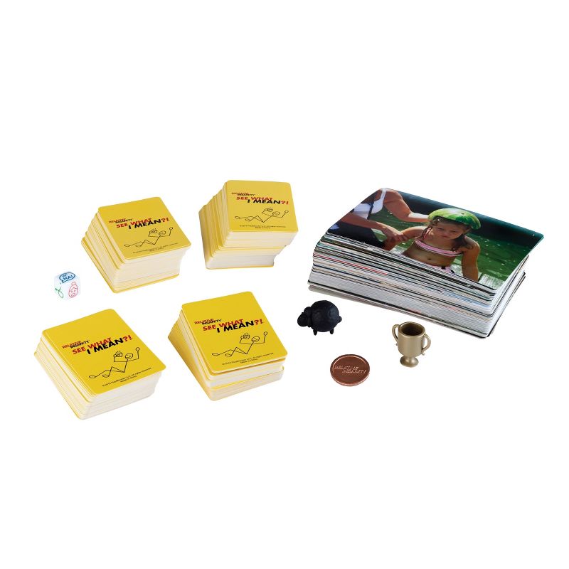 Playmonster Relative Insanity: See What I Mean Game