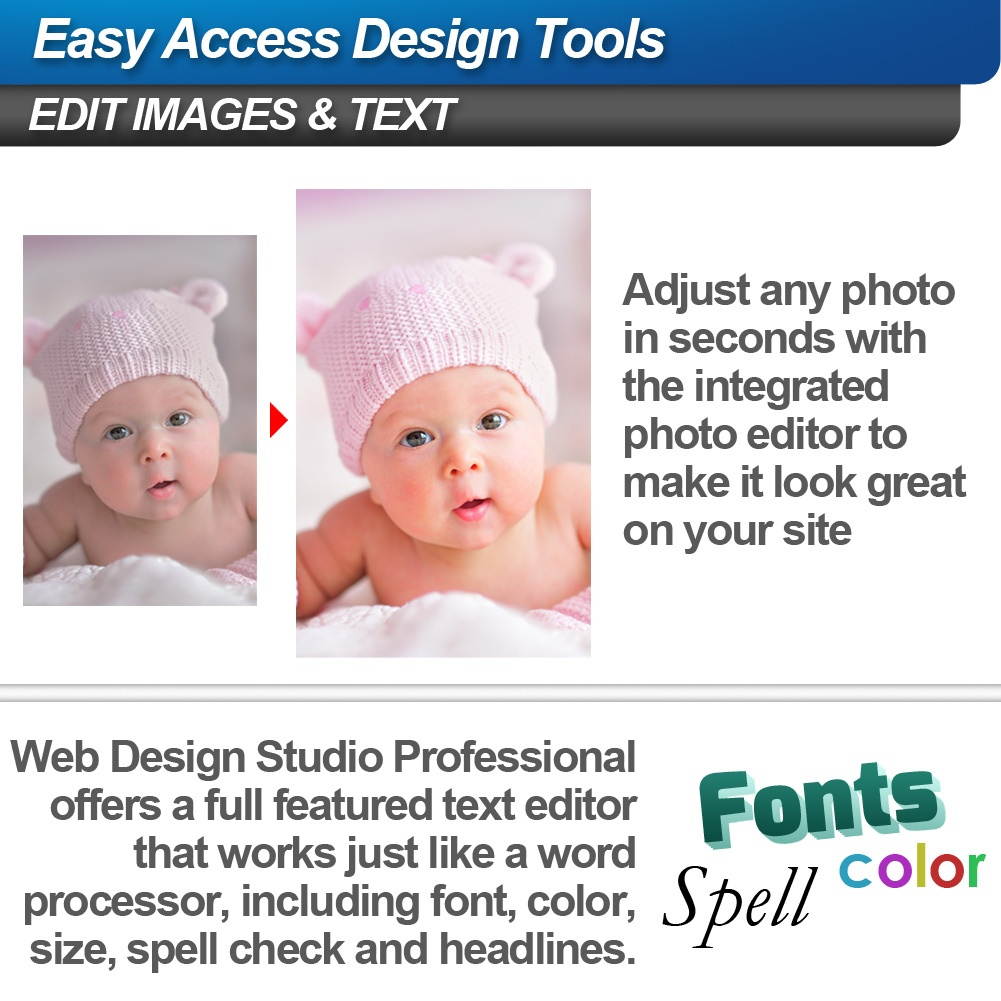 Fargo Asure ID Solo 2009