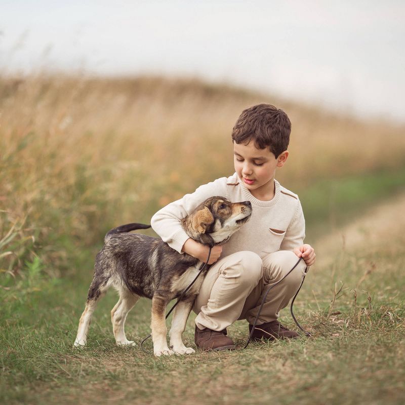 Children's Cetirizine Hydrochloride Allergy Relief Liquid - Grape - 4 fl oz - up & up™