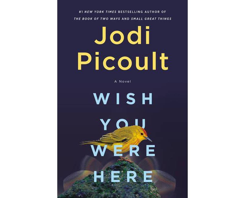 Untitled 8416 - (Hardcover)