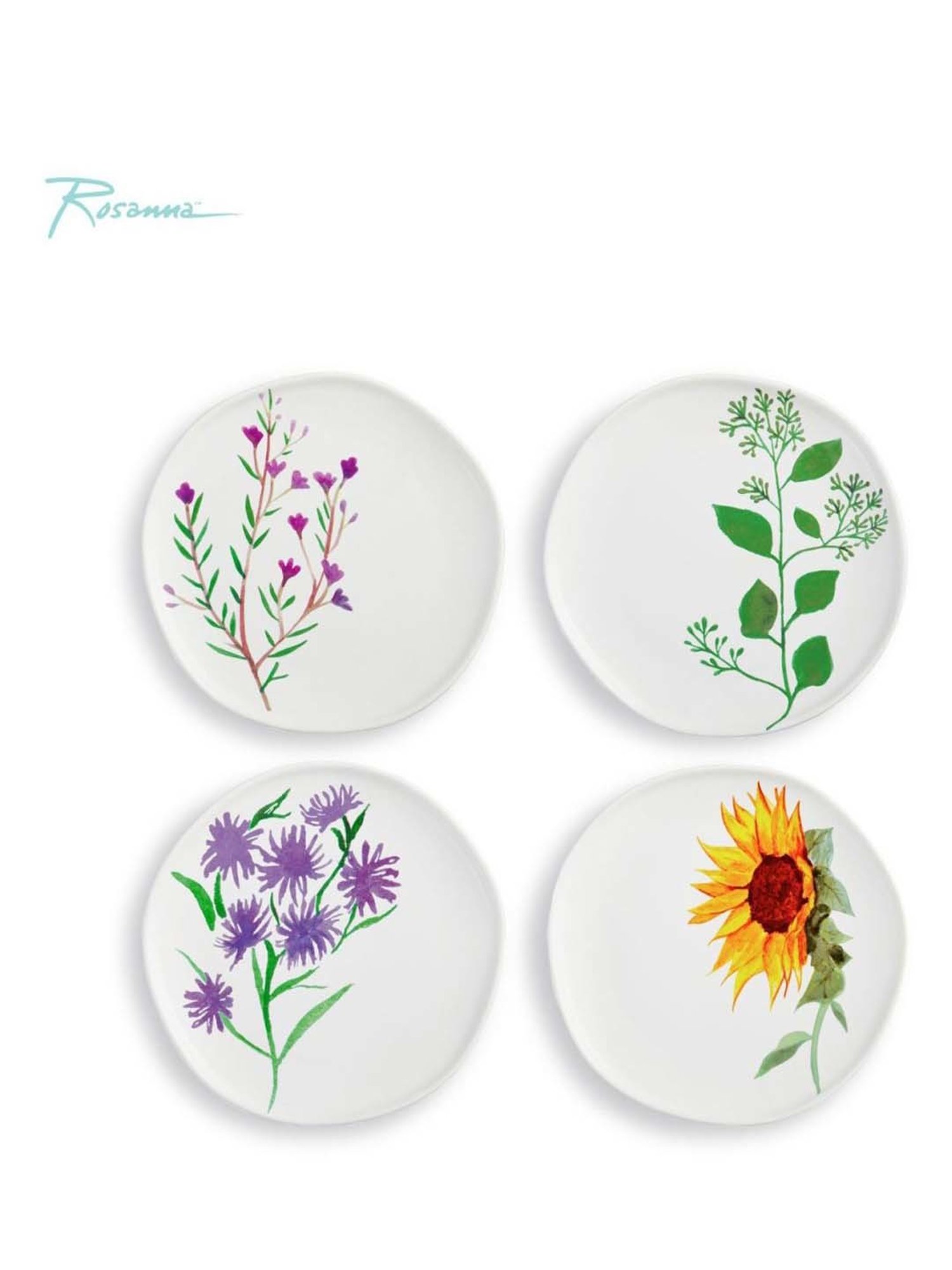 Rosanna 4-Piece Multi Bloom Medium Floral Print Appetizer Plate Set