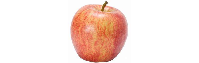 Gala Apple - Each
