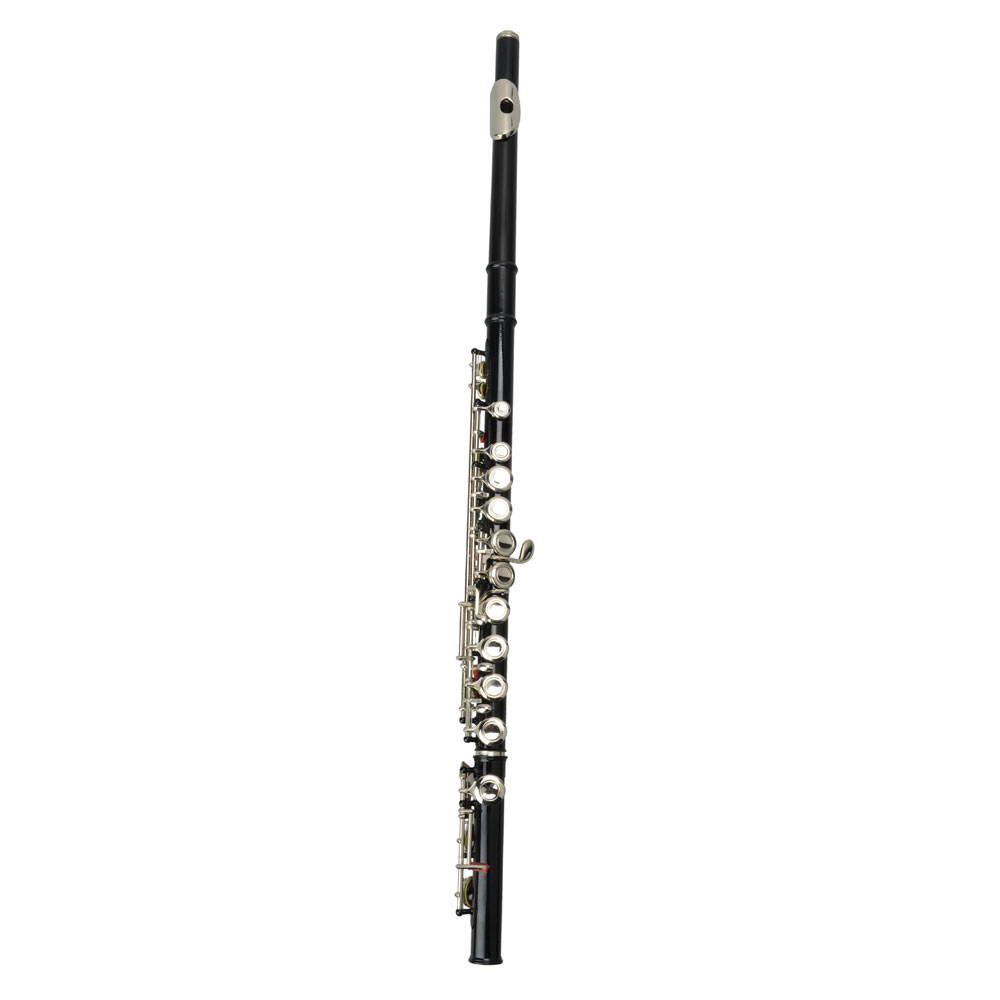 New Standard School Band Student 16 Closed C Flute w/ Case&Accessories Black