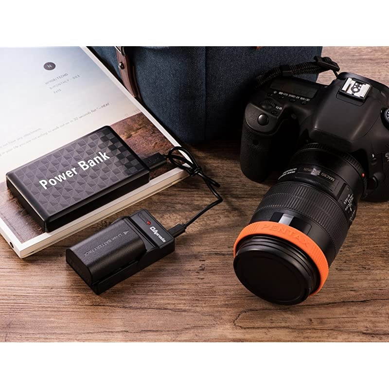 2 Pack ENEL19 Battery and Rapid USB Charger for Nikon Coolpix S32 S33S100 S2800 S3100 S3200 S3300 S3500 S3600 S3700 S4100 S4200 S4300S5200S5300S6500 S6800S7000 Digital Camera