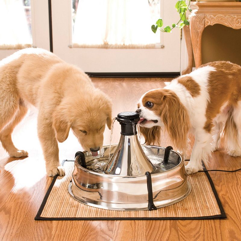PetSafe Drinkwell Stainless Multi-Pet Fountain - Stainless Steel