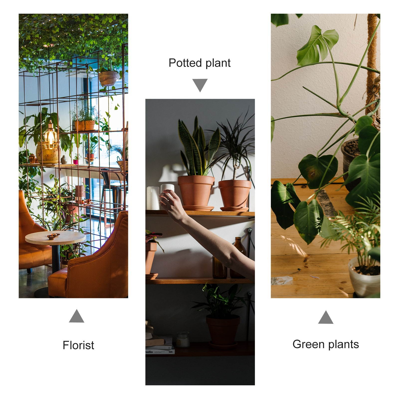 fargo 86200 ymcko color ribbon + 500 pvc cards