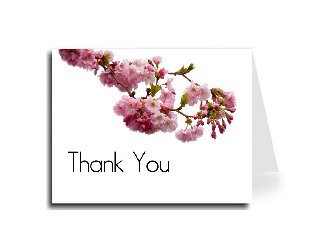 Artisan Decor Pink Blossoms Thank You Card Set of 10 (Maximo Font)