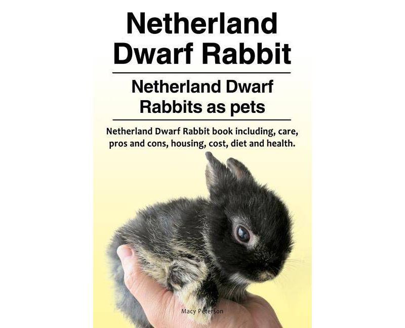 Netherland Dwarf Rabbit. Netherland Dwarf Rabbits as pets. Netherland Dwarf Rabbit book including pros and cons, care, housing, cost, diet and