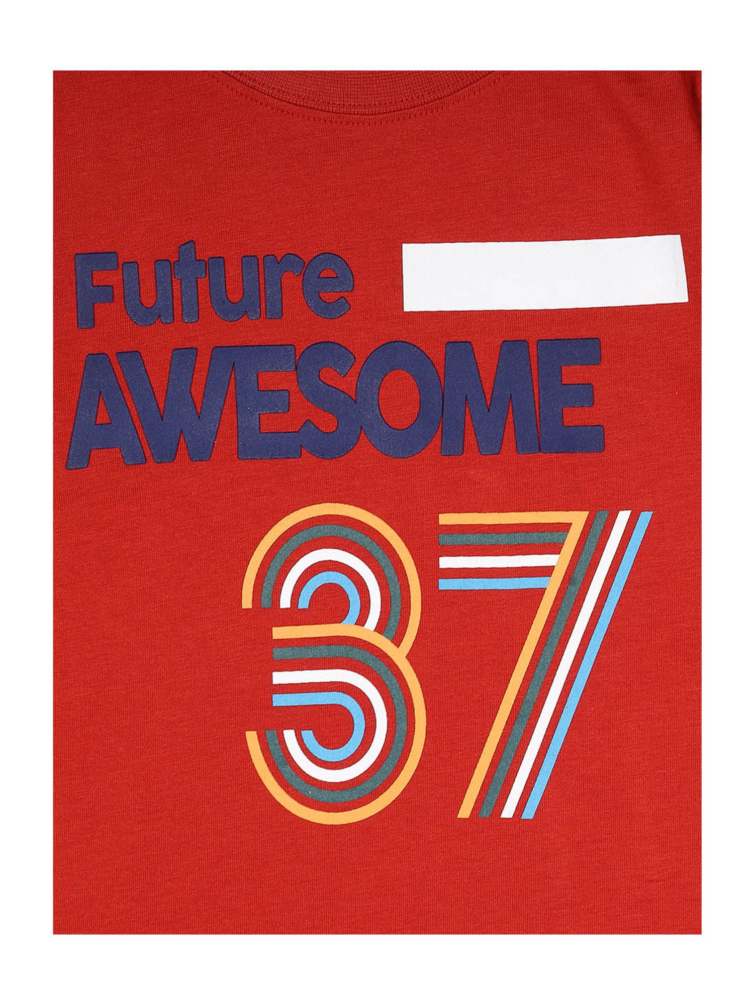 Plum Tree Kids Multicolor Printed T-Shirt (Pack Of 2)