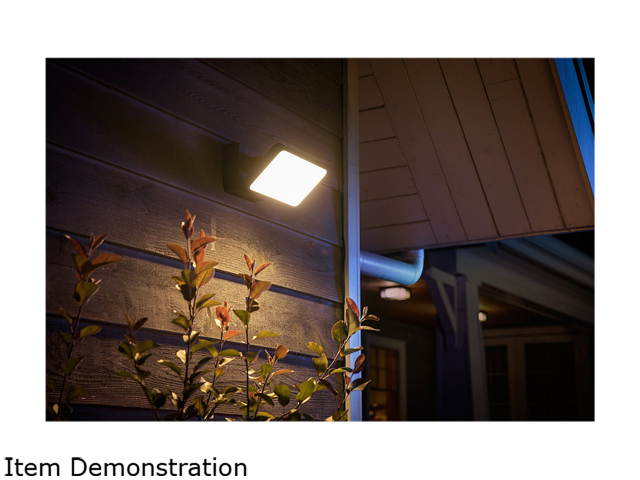Philips Hue Smart White and Color Ambiance Discover Outdoor Floodlight (Hue Hub Required, Smart Light Works with Alexa, Apple Homekit and Google Assistant)