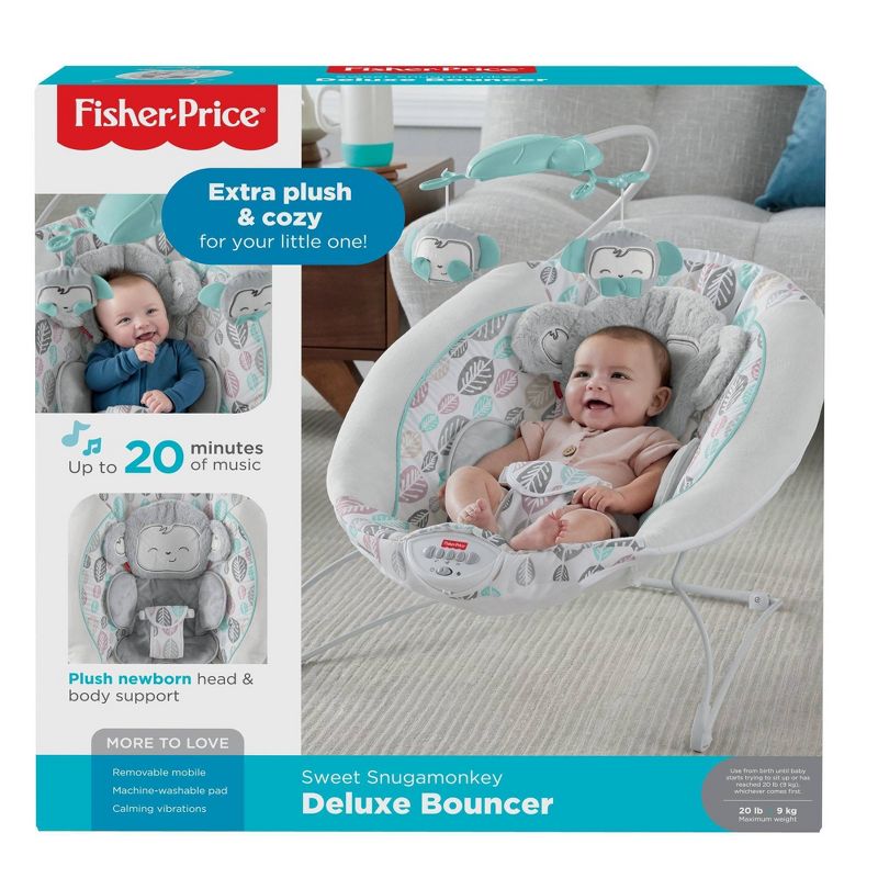 ​Fisher-Price Baby Bouncer