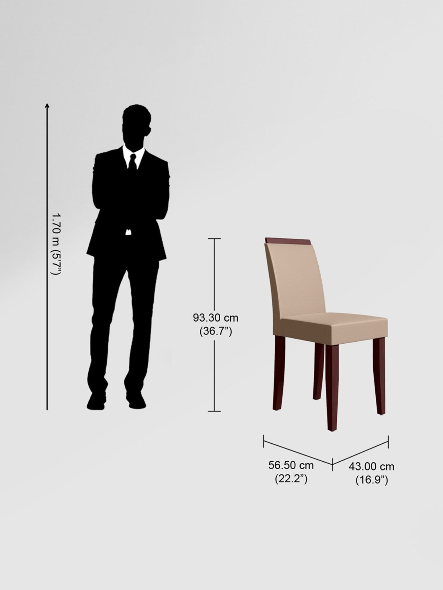 Nilkamal Olivia Brown Solid Wood - Rubberwood 6 Seater Dinning Table set