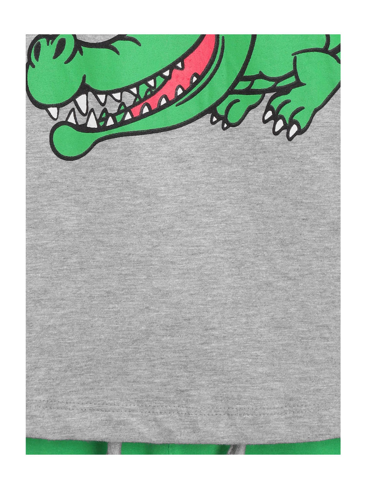 Lazy Shark Kids Grey & Green Printed  T-Shirt with  Shorts