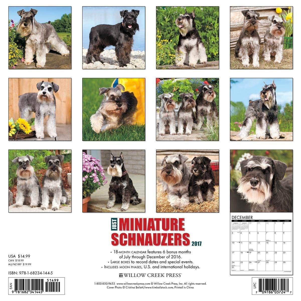 Miniature Schnauzers 2017 Wall Calendar