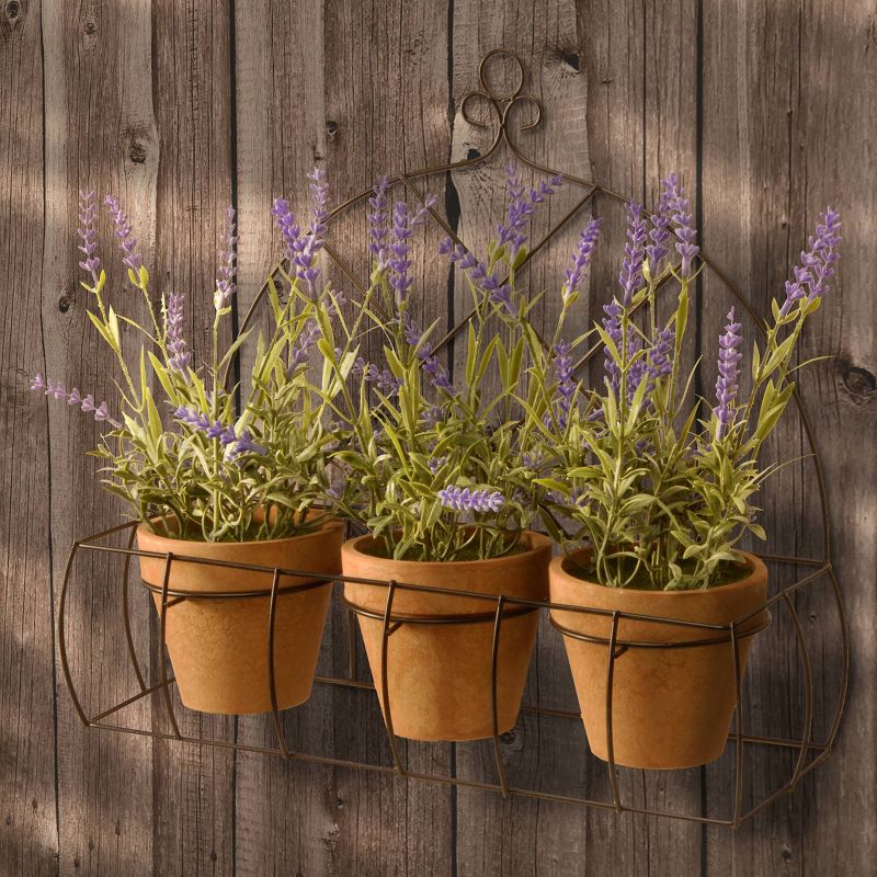 17" Potted Lavender Plants in Rack - National Tree Company