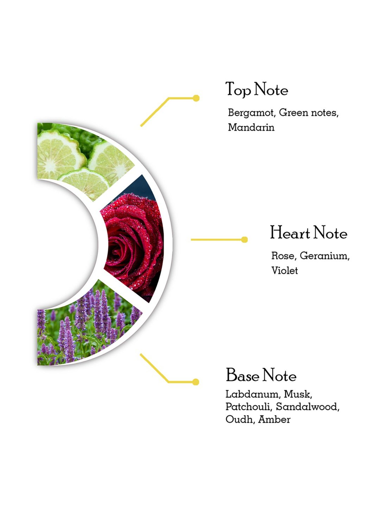 Dorall Collection Orientals Lahn Al Oud Eau de Toilette Spray - 100 ml