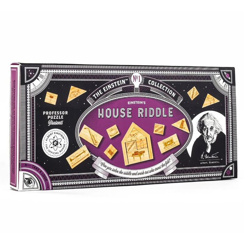Professor Puzzle USA, Inc. Einsteins House Riddle 3D Brain Teaser Puzzle