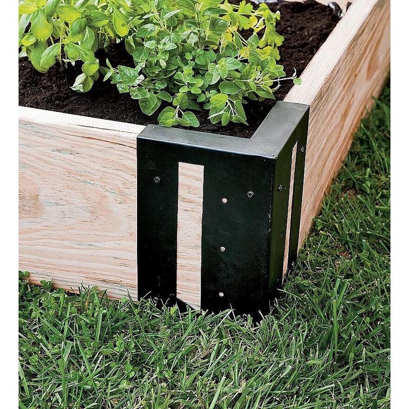 Enchanted Woods Border Edging - GARDENER'S SUPPLY CO.