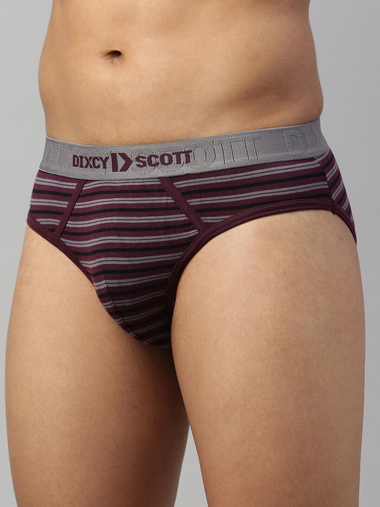DIXCY SCOTT MAXIMUS Purple Regular Fit Striped Briefs