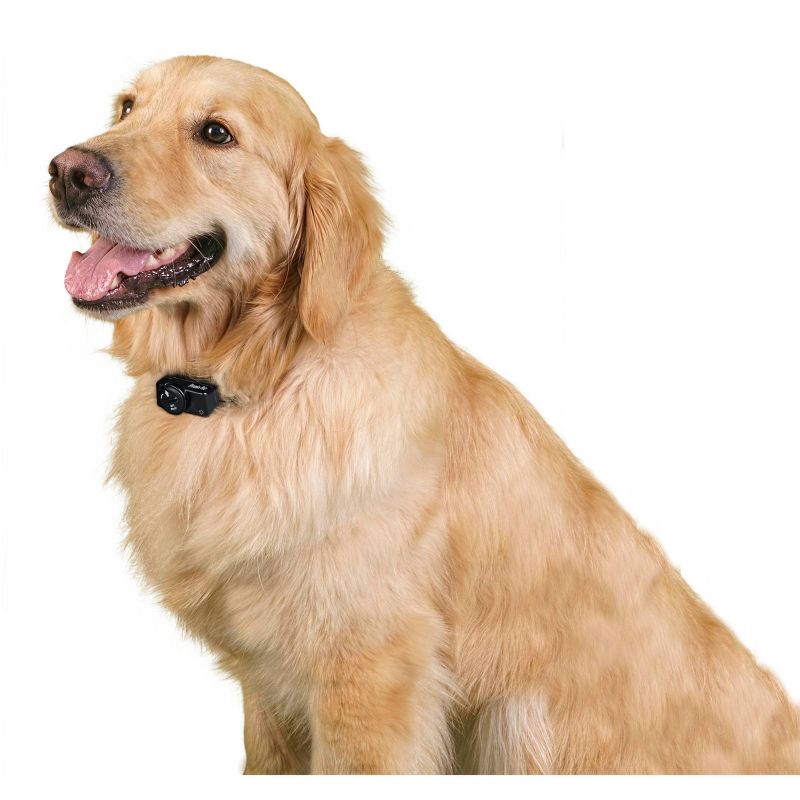 Premier Pet Adjustable Wireless Add-A-Dog Collar - Black