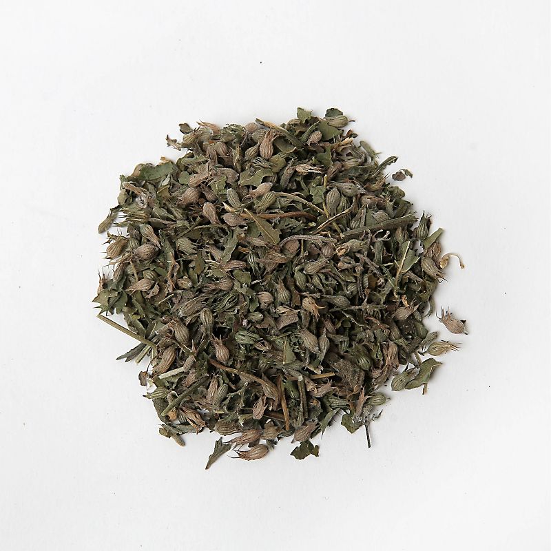 Quirky Kitty Silvervine & North American Catnip Blend Cat Treats - 1.25oz