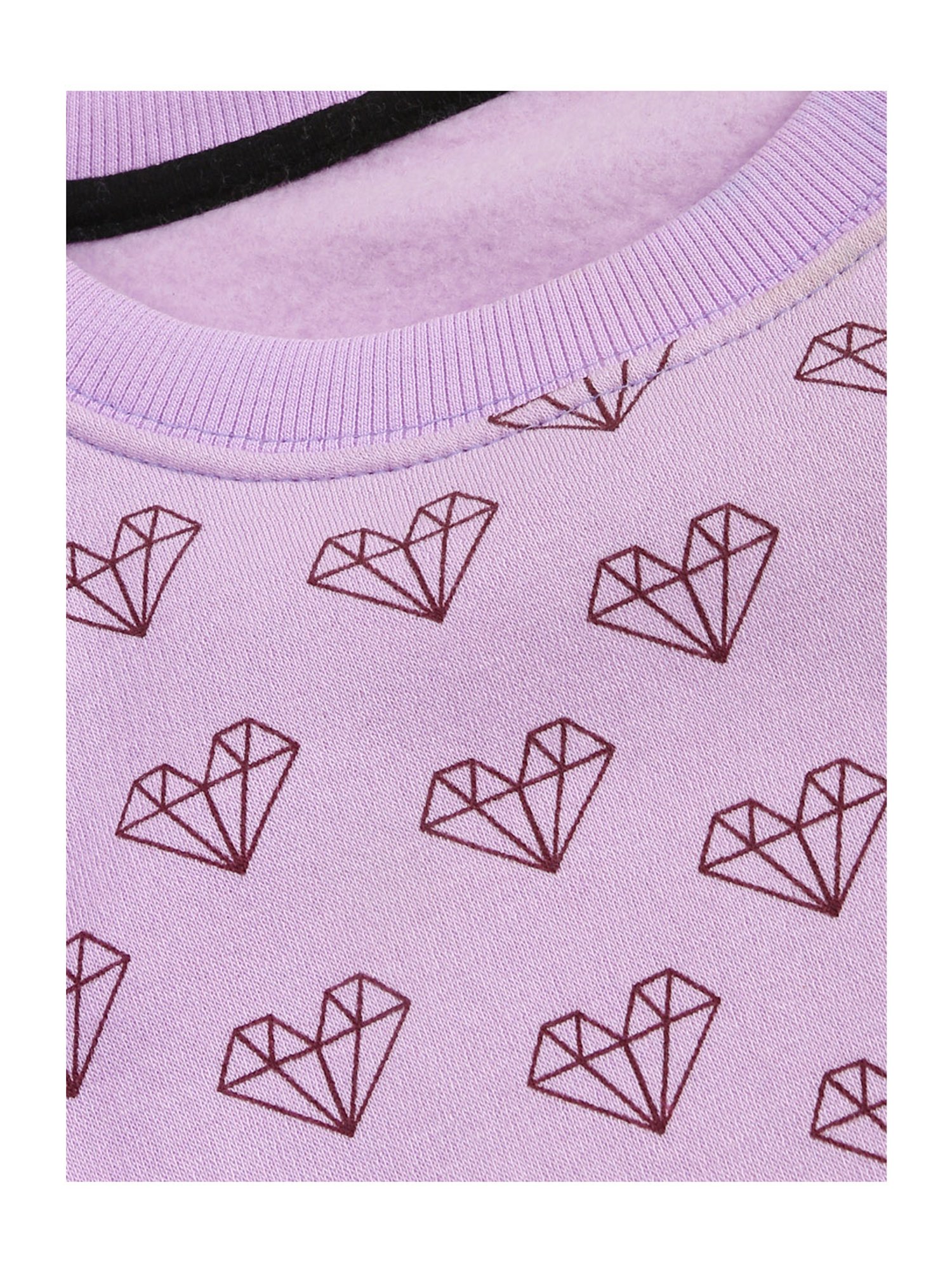 Kids Craft Purple Printed Sweatshirt
