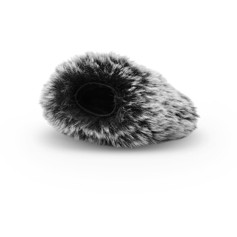 Philips DVT7110 8GB VoiceTracer Digital Voice Recorder with Video-Shooting Kit - Silver / Black