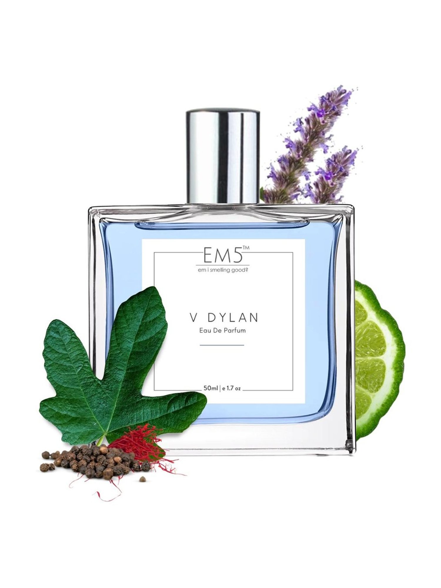 EM5 V Dylan Eau de Parfum for Men - 50 ml