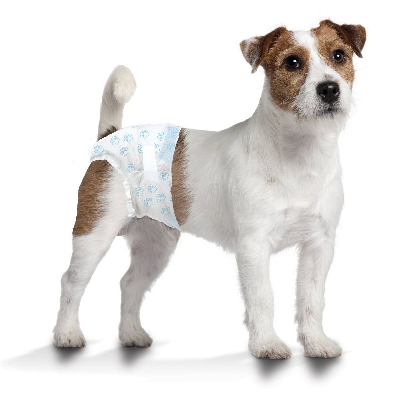 Four Paws Wee-Wee Disposable Dog Diapers - 12ct - S